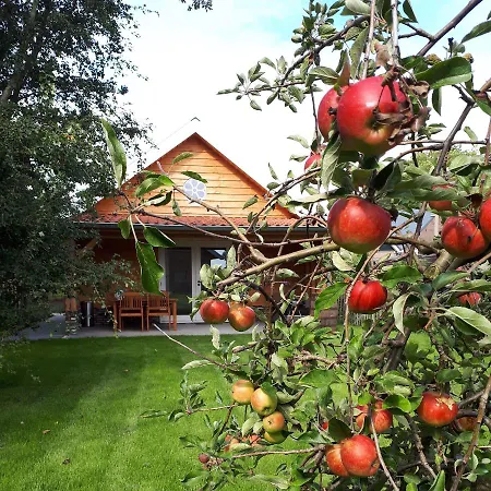 Near The Rhine - Sustainable
