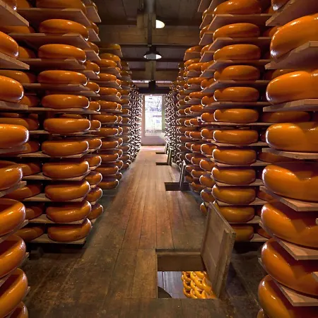 Near The Rhine - Sustainable *