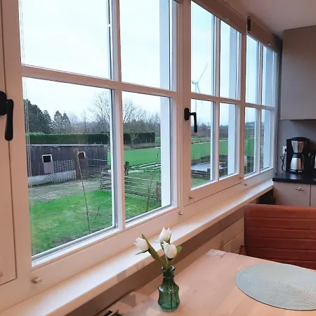 Near The Rhine - Sustainable