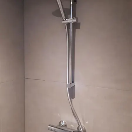 Near The Rhine - Sustainable