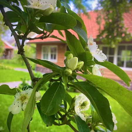 Near The Rhine - Sustainable Lodge