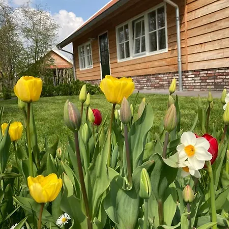 Lodge Near The Rhine - Sustainable Hazerswoude-Rijndijk