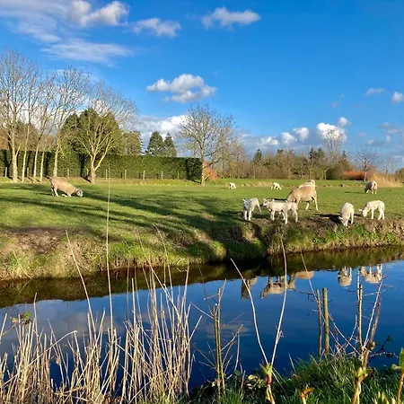 山林小屋 Near The Rhine - Sustainable