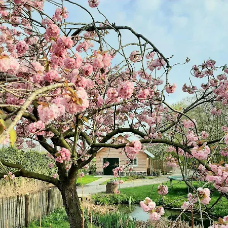 山林小屋 Near The Rhine - Sustainable Hazerswoude-Rijndijk