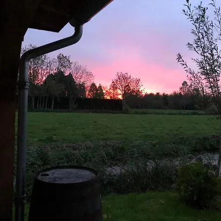 Near The Rhine - Sustainable