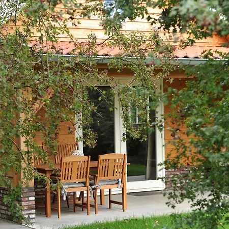 Near The Rhine - Sustainable