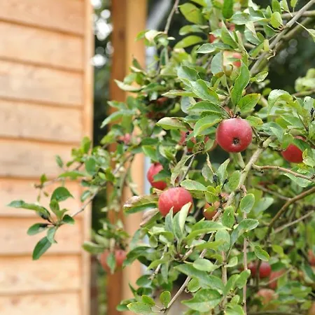 Near The Rhine - Sustainable Lodge *