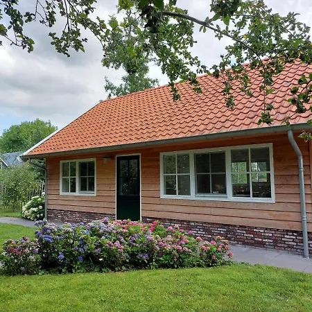 Near The Rhine - Sustainable Lodge *