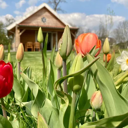 Near The Rhine - Sustainable *