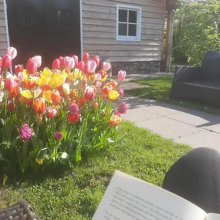 山林小屋 Near The Rhine - Sustainable