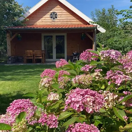 Near The Rhine - Sustainable * Hazerswoude-Rijndijk