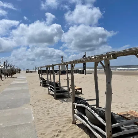 Near The Rhine - Sustainable