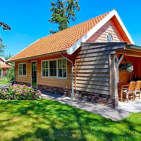 Near The Rhine - Sustainable