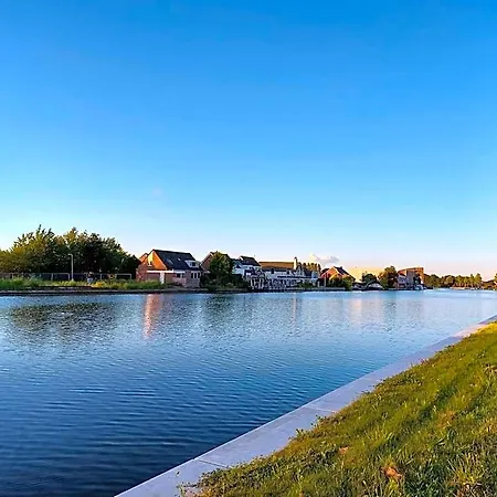 Near The Rhine - Sustainable