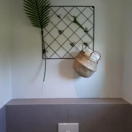 Near The Rhine - Sustainable *