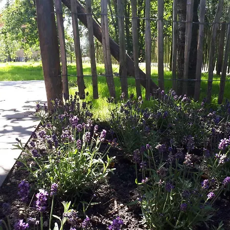 山林小屋 Near The Rhine - Sustainable Hazerswoude-Rijndijk