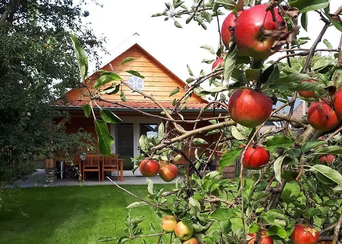 Near The Rhine - Sustainable