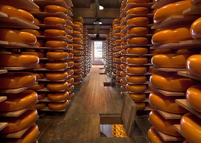 Near The Rhine - Sustainable *