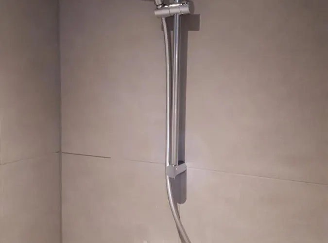 Near The Rhine - Sustainable