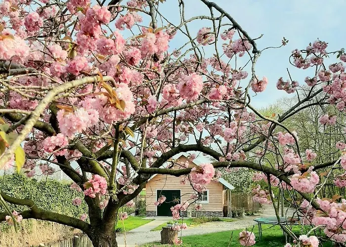 אכסניה Near The Rhine - Sustainable Hazerswoude-Rijndijk