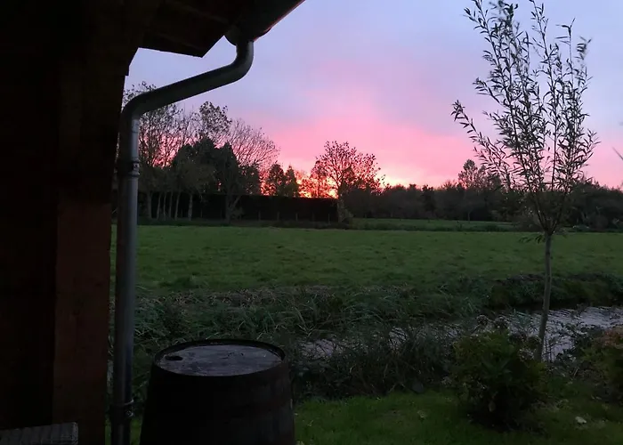 Near The Rhine - Sustainable