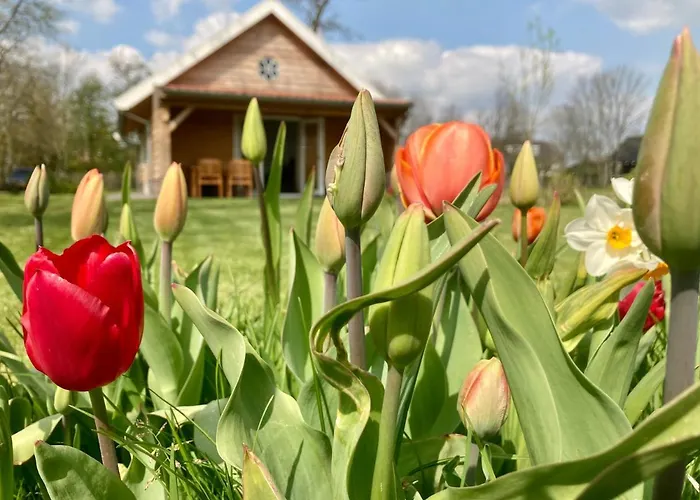 Near The Rhine - Sustainable *