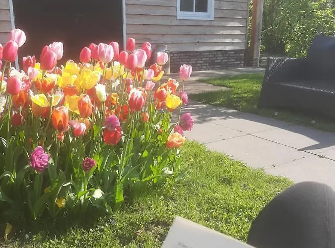 Gerendaház Near The Rhine - Sustainable