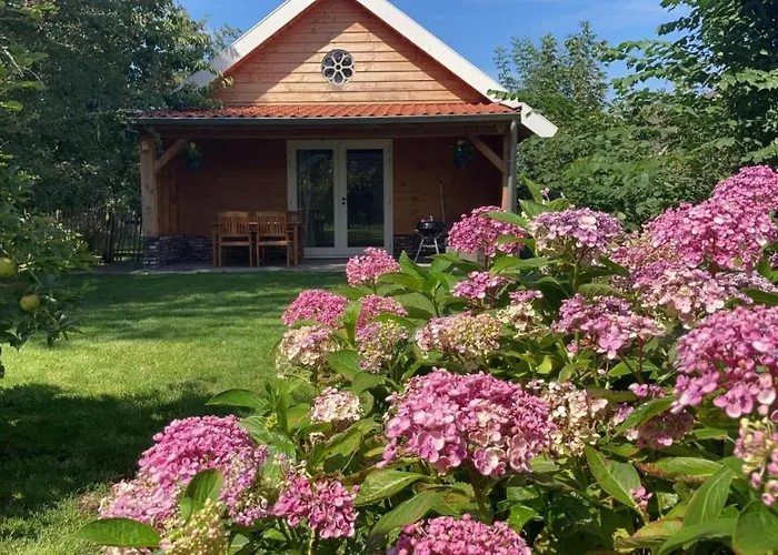 Near The Rhine - Sustainable * Hazerswoude-Rijndijk