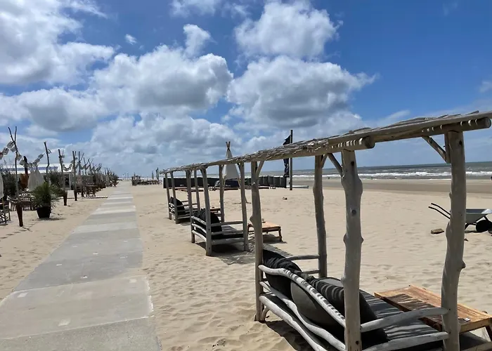 Near The Rhine - Sustainable