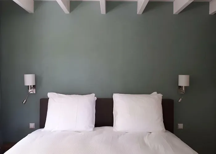 Near The Rhine - Sustainable