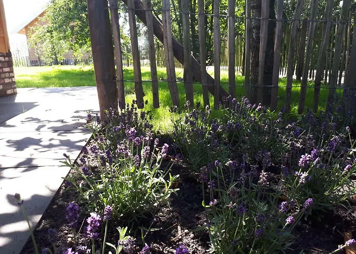 אכסניה Near The Rhine - Sustainable Hazerswoude-Rijndijk